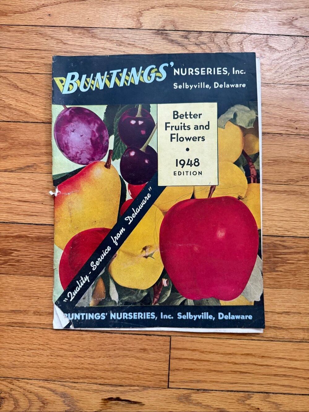 Vintage 1948 Ephemera 1948 Selbyville Delaware Buntings Fruit Seed Flower Catalo